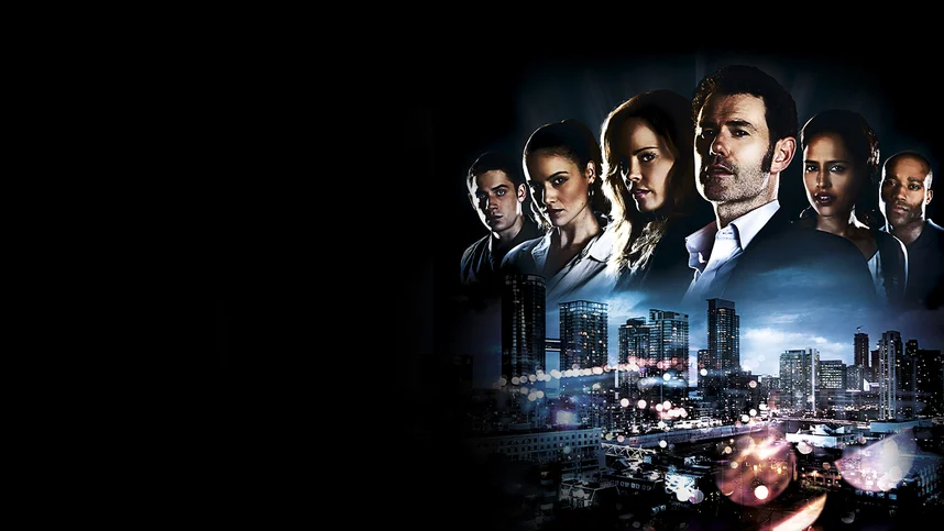 Под прикрытием (2013)