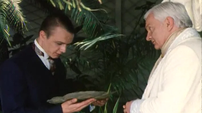 Сердца трех