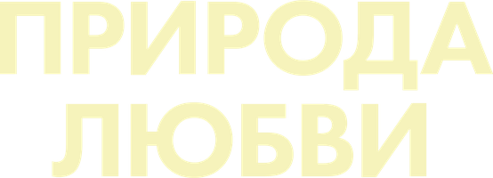 Silven kabi oddiy (kinolar 2023) - o‘zbek tilida tarjima