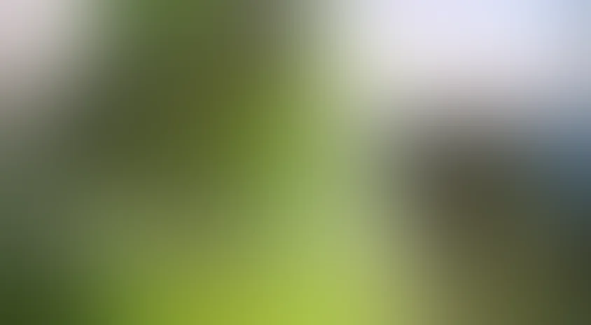 Амазонка 3D: Южная Америка