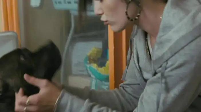 Трейлер (английский язык, русские субтитры)