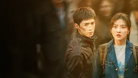 Белое оливковое дерево