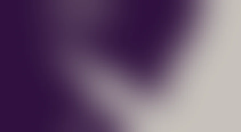 Цветы лиловые полей