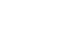 Пропажи на продажу (программа 2014)