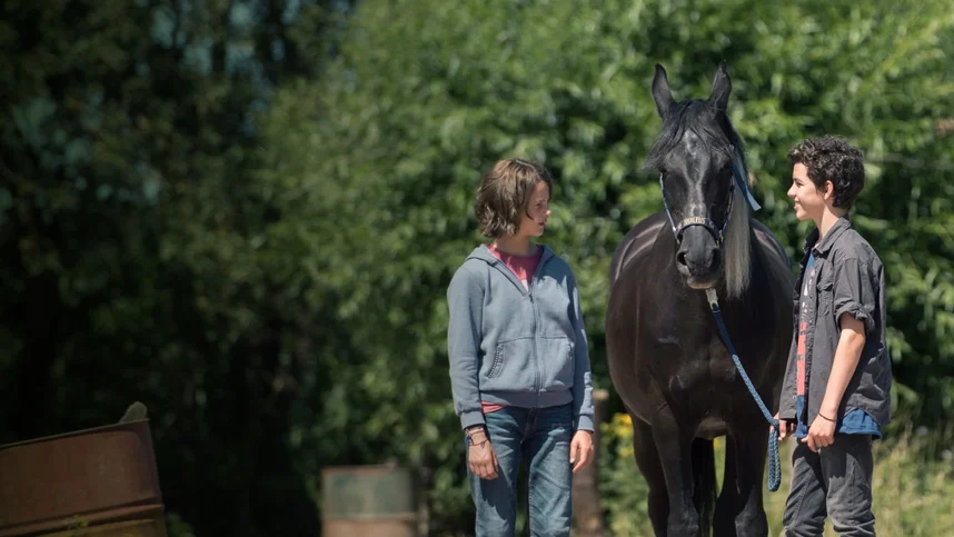 Восточный ветер. Великий ураган