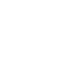 Операция «Сатана»