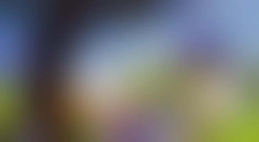 Том и Джерри: Фильм