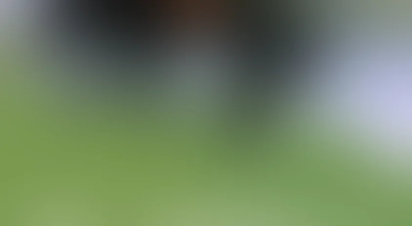 Илья Муромец и Соловей-Разбойник