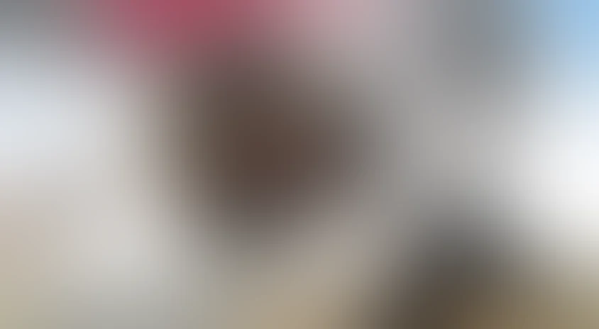 Атака пауков