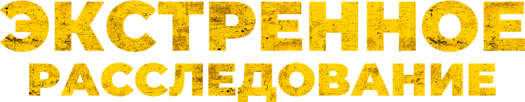 Экстренное расследование (Сериал, 2020)