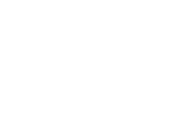Белое оливковое дерево