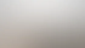 Кто убил Виктора Фокса?