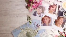 Сорок розовых кустов