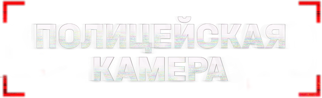 Полицейская камера