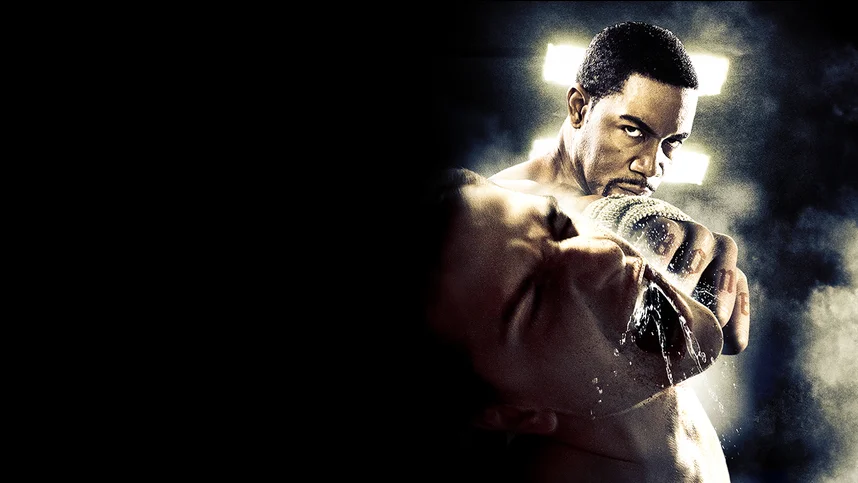 Sperma bilan qoplangan eshaklarning shaxsiy fotosuratlari