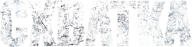 Схватка (Фильм, 2011)