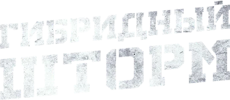 Гибридный шторм (фильм 2025)