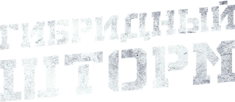 Гибридный шторм (Фильм, 2025)