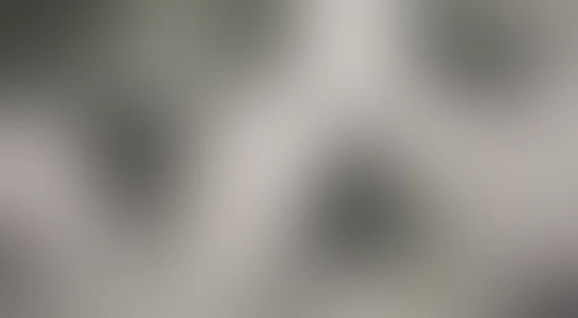 Бегущая по волнам