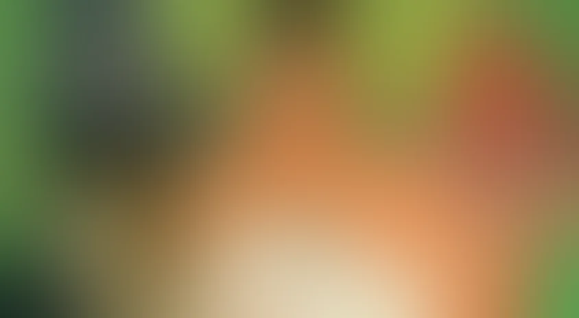 Маугли (сериал)