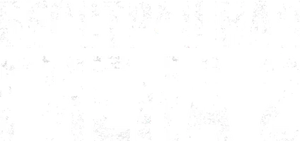 Бесстрашная гиена 2