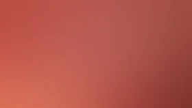 Пассажир без багажа