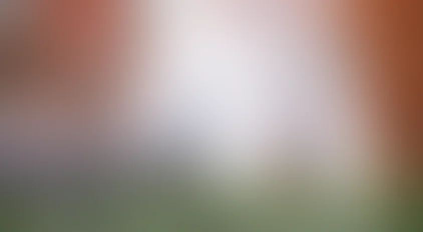 Лесная царевна