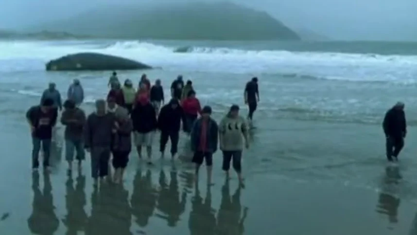 Оседлавший кита