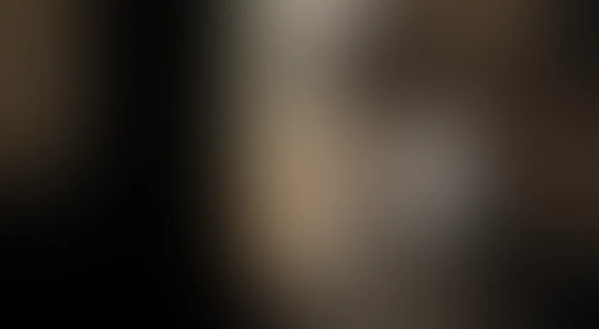 Презумпция виновности