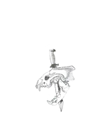 Северная мафия