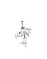 Северная мафия