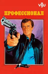 Профессионал