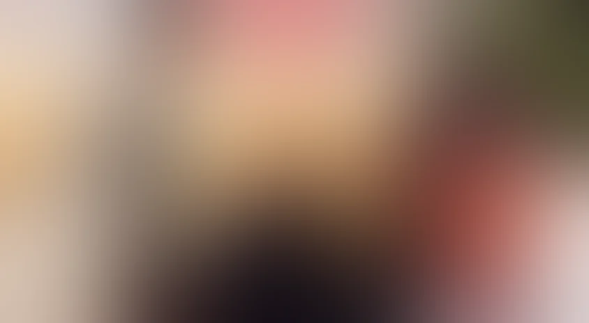 Несколько призрачных дней