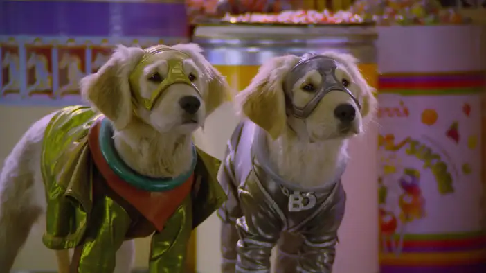 Фрагмент (дублированный)