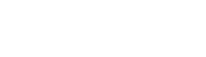Леди Бёрд