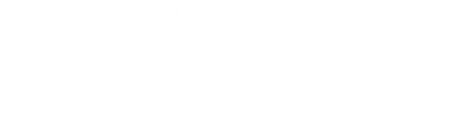 Загадочное ночное убийство собаки