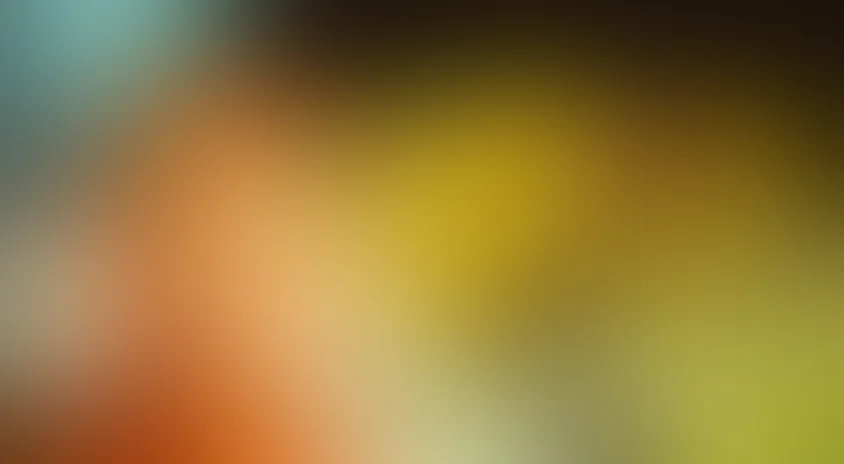 Чемпион мира