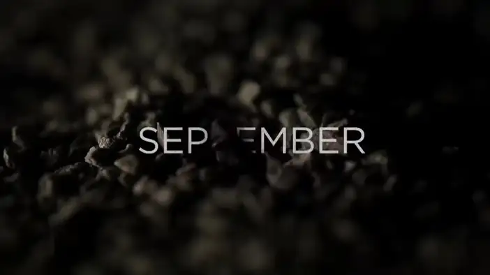 Тизер 15 (сезон 6, английский язык)