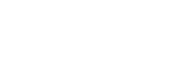 Ночной дозор. Квест на выживание. Алексей Столяров
