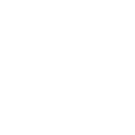 Домашний