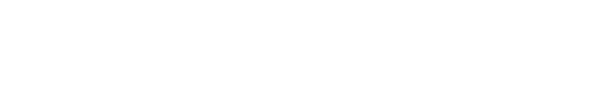 Ликвидация