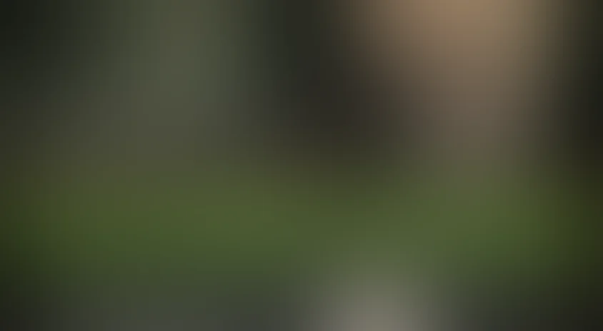 Зеленый слоник