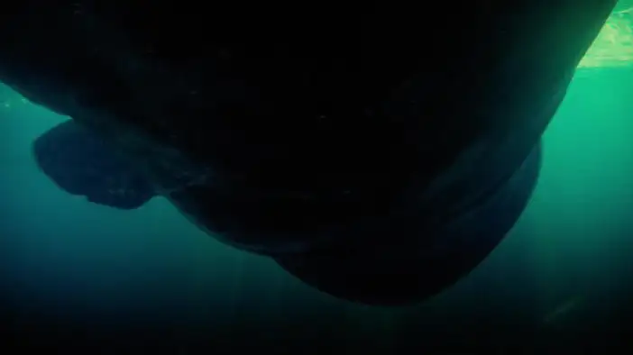 Фрагмент 5 (английский язык)