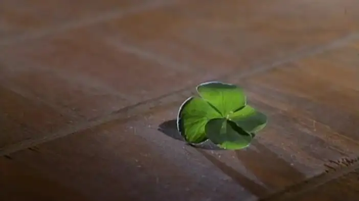 Трейлер (дублированный)