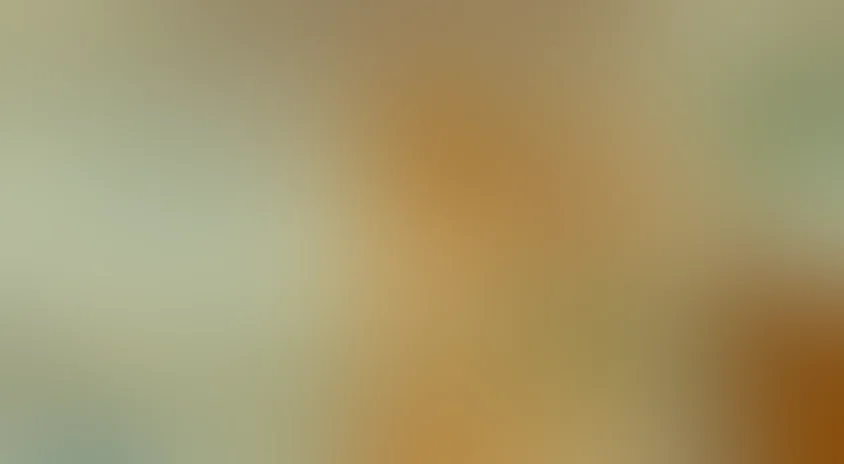 Архангельские новеллы