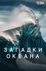 Загадки океана