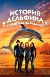 История дельфина: Каникулы на Багамах