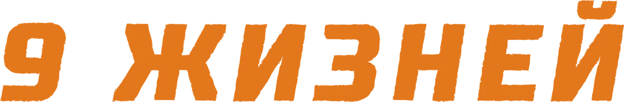 9 жизней