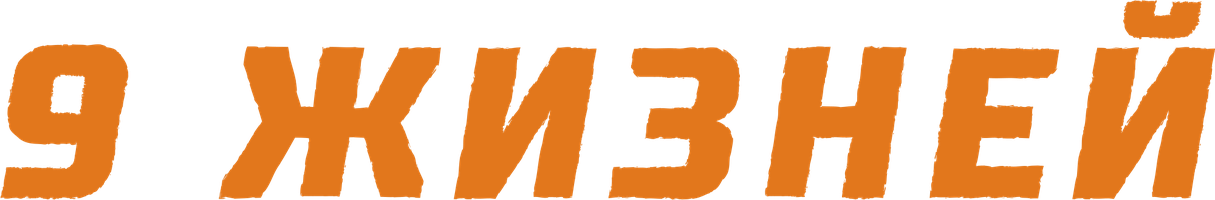 Фильм 9 жизней