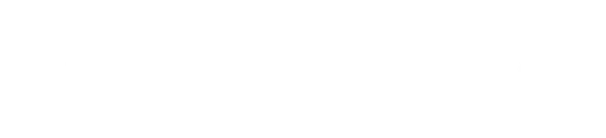 Выживший (фильм 2015)